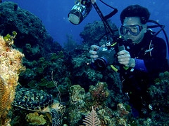 Underwater photography